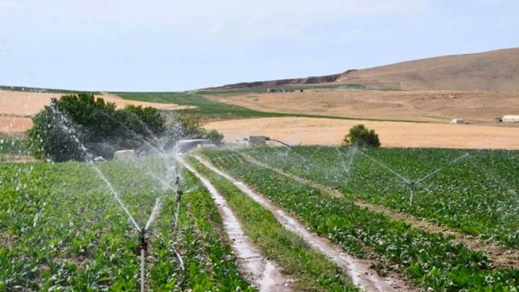 Milli Emlak'tan şok fiyatta arsalar! Kenarda köşede parası olana kaçırılmayacak fırsat 5